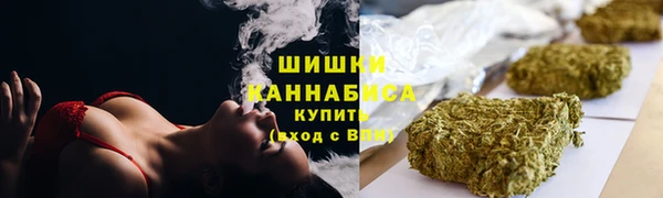 ПСИЛОЦИБИНОВЫЕ ГРИБЫ Дмитровск