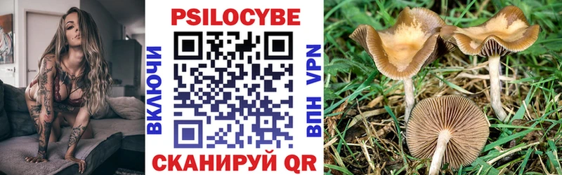 Псилоцибиновые грибы Magic Shrooms Кадников
